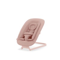 Baby Bouncers and Newborn Loungers Baby Bouncers and Newborn Loungers